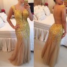 God Lace Appliques See Through Back Long Prom Dresses Evening Gowns E0201