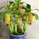 100pcs/bag Rare Pisang Banana Seeds