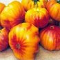 OKAOKEIYA Heirloom Tomato Seeds 25 Virgina Sweet Tomato Seeds