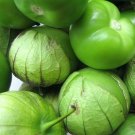 OKAOKEIYA 50 Tomatillo Seeds Monster Green Tomato Seeds