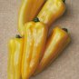OKAOKEIYA 50 Seeds Corno Di Toro Yellow Sweet Pepper Seeds