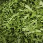 ARUGULA HERB 20 Fresh Seeds