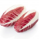 Radicchio Rouge De Verona 100 Seeds Beautiful Red Chicory