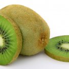 Kiwi Fruit Chinese Gooseberry 120 seeds