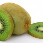 Kiwi Fruit Chinese Gooseberry 120 seeds