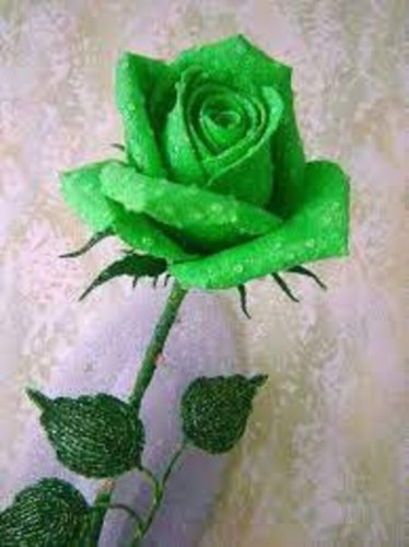 30 Bright Green Rose Flower Seeds