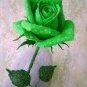 30 Bright Green Rose Flower Seeds