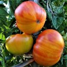 Pineapple Tomato Seeds 30 Ct Vegetable Beefsteak Heirloom NON-GMO