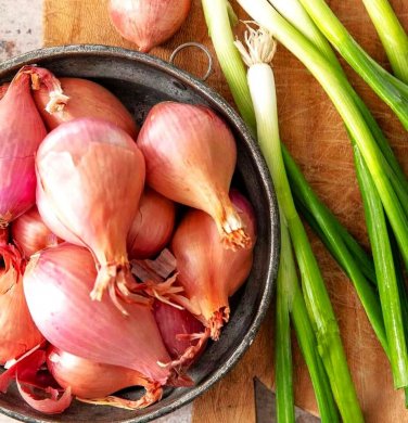 Nero Shallot Sets (Bulbs) Traditional Round Onion Set Seed