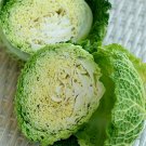 Fresh Savoy Cabbage Seeds Tender Leaves Flavor High Nutrition