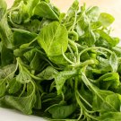 Fresh Round leaf White Amaranth Seeds Vegetable