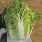 Fresh Jiaoyan Qiubao Chinese Cabbage Seeds Yellow Heart Type Hybrid Chinese Cabbage