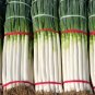 Fresh Zhangqiu Green Onion Seeds Tall Crisp Sweet Variety
