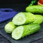 Fresh Superior Classic Fruit Cucumber Vigorous Growth Greenhouse Open Field Seeds