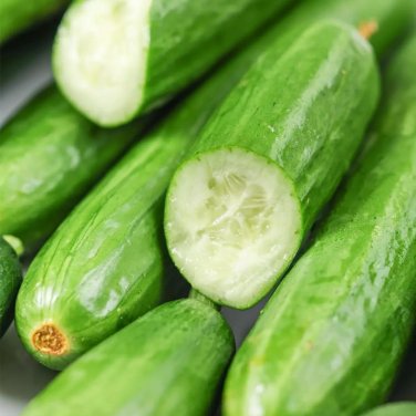Fresh Flavor Supreme Fruit Cucumber Seeds Spineless