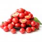 Fresh Sweet Ruby Gem Tomato Seeds Hybrid Cherry Tomato Pink Round Fruit