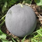 Fresh Golden Obsidian seeds Watermelon Seeds Black Rind Yellow Flesh
