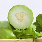 Fresh Yellow River Chinese Vegetable Melon Seeds No Pruning Adaptable Cucumber