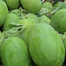 Fresh Yellow Flesh Watermelon Seeds Sweet Small Gifting Melon