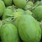 Fresh Yellow Flesh Watermelon Seeds Sweet Small Gifting Melon