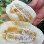 Fresh Qingzhou Silver Melon Seeds Heritage Super Crisp Melon Thin Skinned Juicy