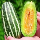 Fresh Feitian No.9 Hybrid Sweet Melon Seeds High Brix Crisp Juicy Texture
