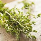 Fresh Mongolian Thyme Seeds Fragrant Culinary Herb Medicinal Drought Resistant