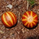 Fresh Tiger Melon Seeds Exotic Melon Unique Carmine Striped Melon