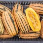 Fresh Honey Boat Delicata Squash Seeds Green Striped Nutty Flavor No Curing