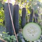 Fresh Black General Wax Gourd Seeds Late Maturing Wax Gourd Thick Pure White Wax