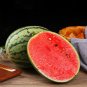 Fresh Zaochun Hongyu Watermelon Seeds Ultra Early Watermelon Small Watermelon