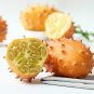 Fresh Kiwano Melon Seeds