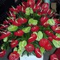 Fresh Anthurium Seed Balcony Potted Plant Anthurium Flower
