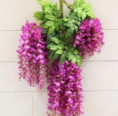 Fresh Rare Wisteria Seed Mixed Color Flower (Color: 7)