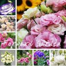 Fresh Mix Eustoma Seeds Lisianthus for Home Garden Decoration (Color: Mixed)