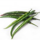 Fresh Xiangla No.6 Chili Pepper Seeds