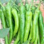 Fresh Hangjiao No.1 Pepper Seeds