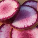 Fresh Ice Cream Radish Seeds