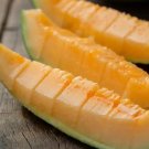Fresh Hami Melon Seeds