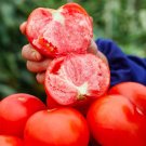 Fresh Provence Pink Fruit Tomato Seeds