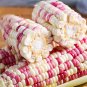 Fresh Color Sweet waxy Corn No.102 Seeds