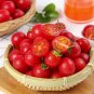 Fresh  Red Millennium Cherry Tomato Seeds