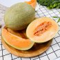 Fresh Xizhoumi Sweet Melon Seeds