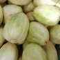 Fresh Tianfei Sweet Melon Seeds