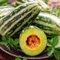 Fresh Extremely Sweet Melon Seeds