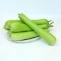 Fresh Bottle Gourd Seeds Nutrient Rich