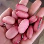 Fresh Thick fleshed Sword Bean Seeds
