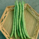 Fresh Stringless Snap Bean Seeds