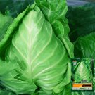 Fresh Pagoda Ox heart Cabbage Seeds