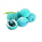 Fresh Litchi Giant Outdoor Lychee Home Garden Fruit Seeds
